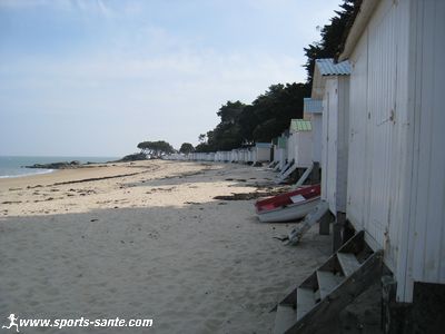 Balade insulaire sur l'Ile de Noirmoutier : à la découverte des plages depuis le Bois de la Chaise