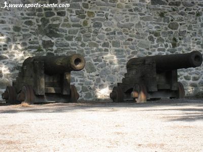 Photo de canon au château de Noirmoutier