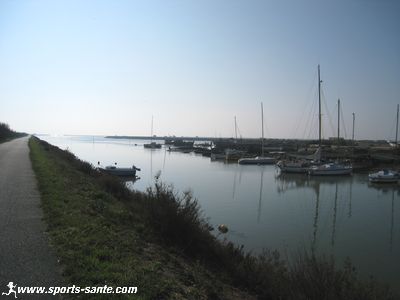 Photo du cimetière à bateaux à Noirmoutier