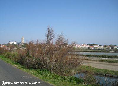 Photo du marais de Müllembourg à Noirmoutier