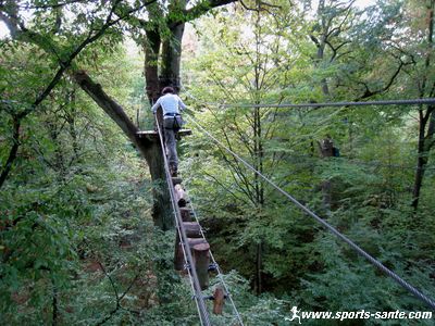 Image d'activité en hauteur dans les arbres