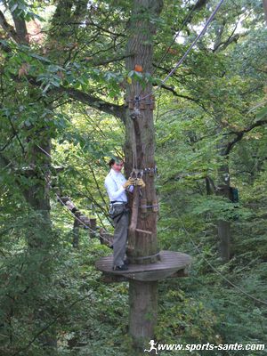 Photo de tronc perroquet en parc aventure