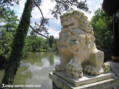 Photo d'une sculpture de lion impérial chinois