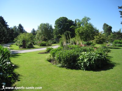 Image du jardin aux plantes de Vincennes