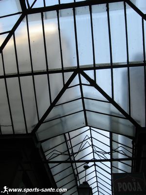Photo de la verrière du passage Brady