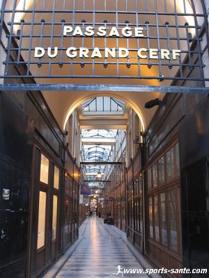 Photo du passage du Grand Cerf à Paris