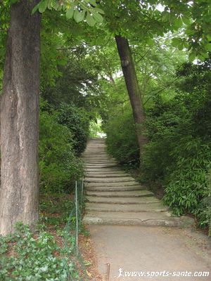 Photo du parc des Buttes Chaumont Paris