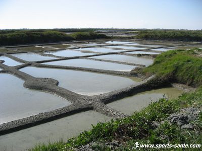 Photo de bassin salicole