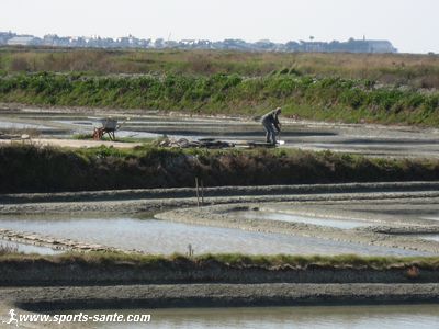 Visite aux paludiers des marais salants de Guérande en Pays de Loire