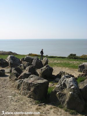 Photo d'édifice mégalithique en Pays de Retz