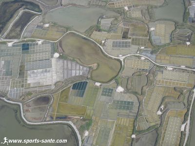 Image des marais salants vus du ciel