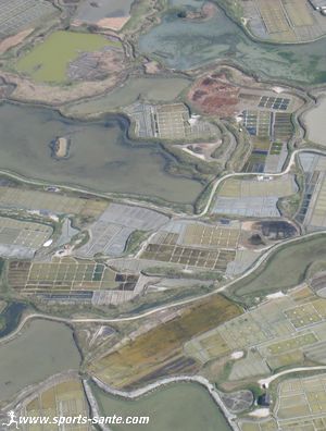 Photographie aérienne des marais salants d'Atlantique