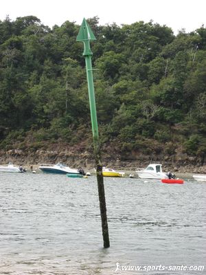 Photo d'espar vert tribord