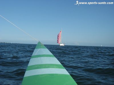 Photo de voilier avec spinacker
