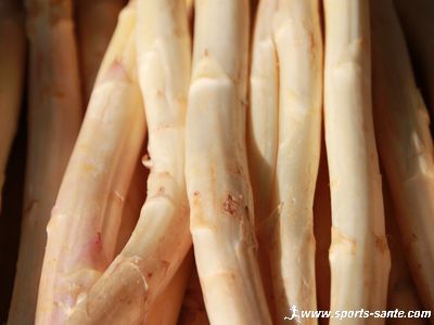Photo de turions d'asperge