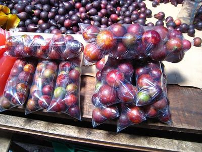 Image de camu camu