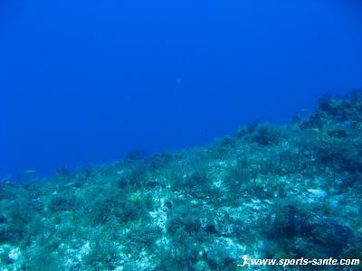 Photo du grand bleu en plongée