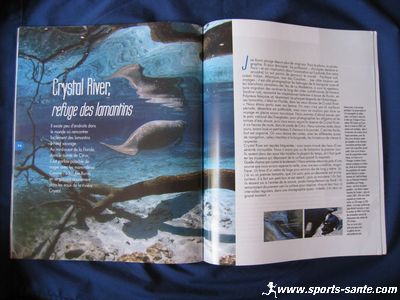 Reportage sur les lamentins