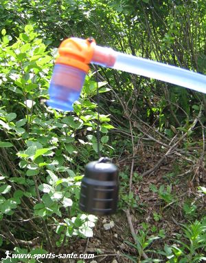 Photo de l'embout de la pipette Source