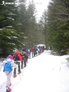 Sortie en forêt à Brameloup dans l'Aubrac en Aveyron
