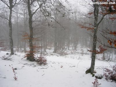 Photo féerie en gris et blanc