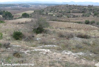 Oppidum
