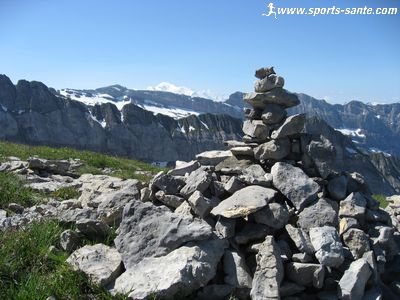 Photo de la tête de Bostan
