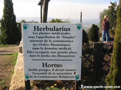 Photo Herbularius