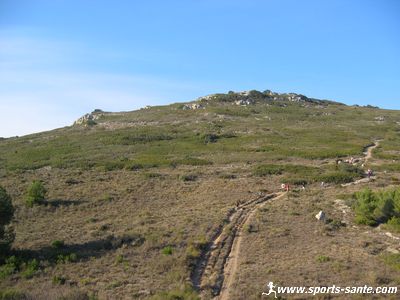 La forêt domaniale de La Gardiole