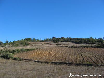 Photo du domaine de Ste Eulalie