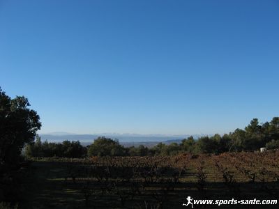 La Livinière, canton d’Olonzac dans l’Hérault, Minervois région Languedoc-Roussillon
