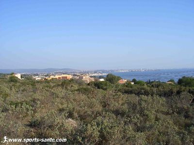 Bouzigues et les parcs de thau