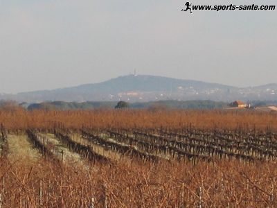 Randonnée pédestre du côté de Montblanc (34290), Canton de Servian Hérault Région Languedoc Roussillon.