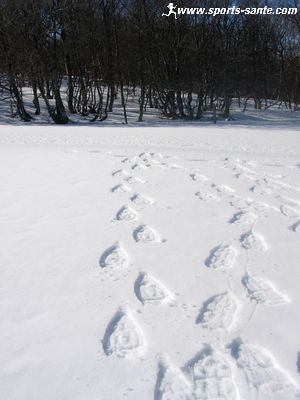 Photo de traces en raquettes