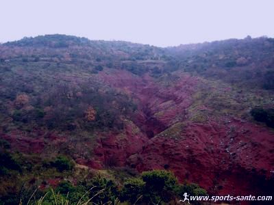 Photo des ruffes de terre rouge