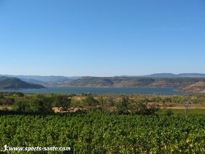 Vue du lac du Salagou et des vignes le bordant