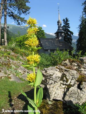Photo de la chapelle du jardin de la Jaÿsinia