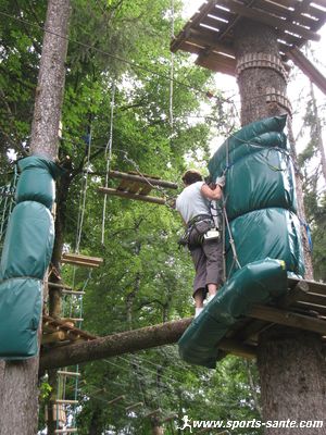 Photo de coussin protecteur sur arbre