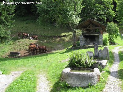Photo de la fontaine et du four du Mont
