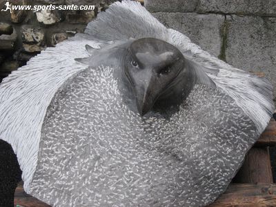 Photo d'oiseau taillé dans la pierre