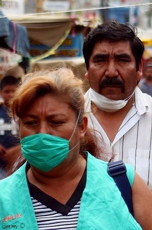 Evolution de la grippe porcine ou grippe A