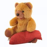 Image de peluche avec bouillotte intégrée