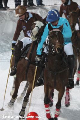 Photo de cheval de polo
