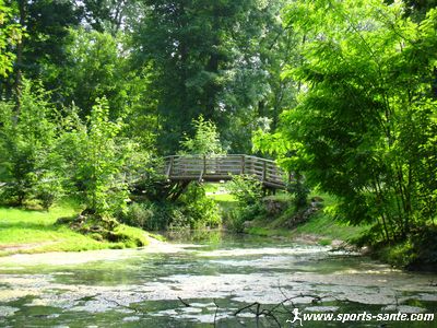 Photo d'un pont de bois sur un étang