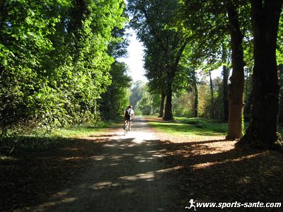 Guide d'utilisation vélo avant chaque sortie