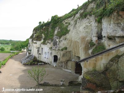 Photo champignonnière troglodytique