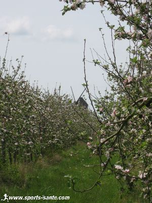 Randonnée vélo à Montsoreau
