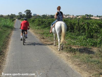 Photo de cycliste et de cavalier dans les vignes de Montblanc Hérault