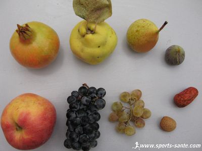 Photo de figues, coings, jujube, amandes, grenades, raisins