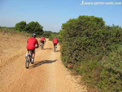Rando en VTT et cueillette dans les garrigues et le vignoble de Montblanc dans l'Hérault